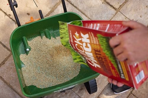 Scotts Turf Builder Quick + Thick Tough & Resilient Grass Seed Mix, 1.2kg (167 sq Meters / 1,805 sq feet Coverage) | Resilient Mix for Active Yards, Pets & Pests by Scotts - Image 3