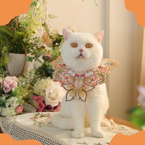 Disfraz Leo Kitty Año Nuevo para Gatos y Perros Pequeños miniatura 2