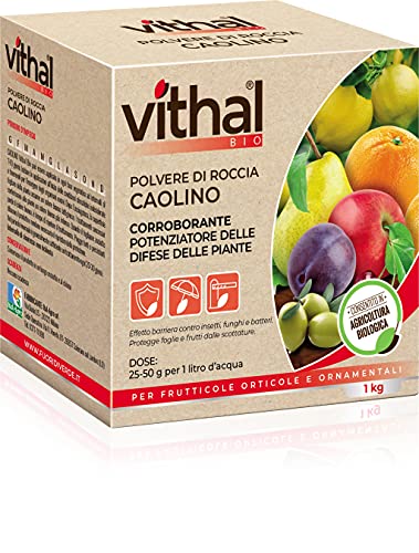 Vithal Kaolino Bio Pflanzenstärkungsmittel
