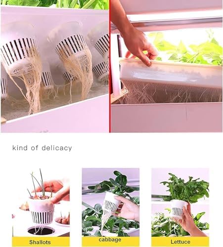 Indoor Hydroponic Vegetable Growing Kit - 48/64/90/120 Plant Spaces for Herbs, Fruits & Vegetables - Complete Hydroponic System for Home Gardening