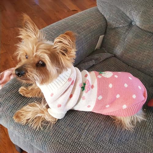 Small Dog and Cat Jumper, Stylish Chihuahua Clothes, Knitted Puppy Pullover Vest Sweater for Autumn and Winter, Soft Turtleneck Pet Apparel for Cat, Chihuahuas, Yorkshire Terriers, XXL - Image 4
