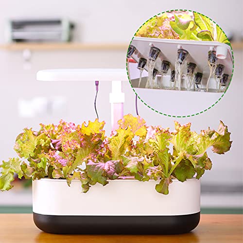 Pouyrba Grow Sponges, 80Pcs Brown Peat Soil Hydroponic Sponges Rock Wool For Hydroponic Growing Hydroponic Pods For Breeding Seeds #TOP6