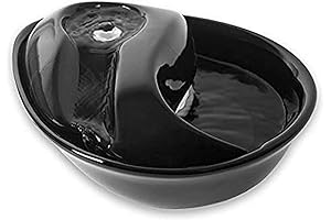 Raindrop Fountain: The Pioneer in Pet Hydration