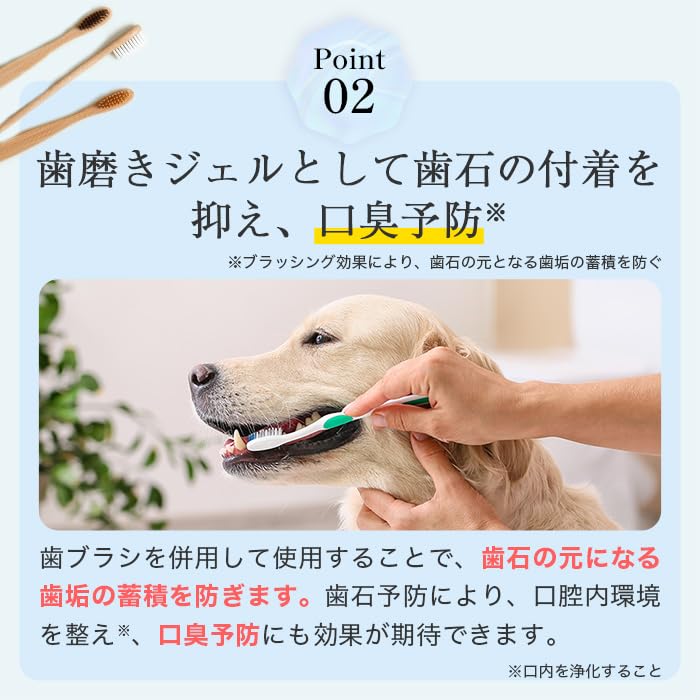 Amazon.co.jp: ミシュワン MISHONE トータルケアワン 犬 歯磨き 歯磨き