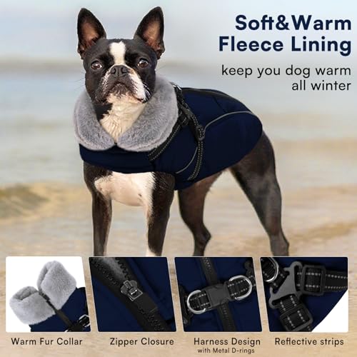 Queenmore Hunde Wintermantel Wasserdicht, Hundemantel mit Geschirr 3-Schicht Ausführung Reflektierend, Hundejacke Winter für Riesenrassen Labrador/Husky/Golden Retriever(Marineblau, 2XL)