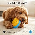 Football-Shaped Design Squeaky chew Ball, Dog Chew Toys for Aggressive Chewers, TPR Durable Interactive Toy for Large Medium Small Breed Dogs - Image 4