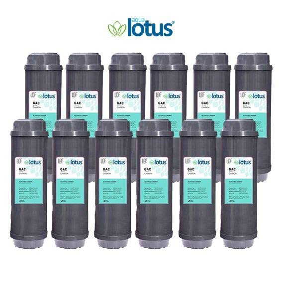 10" Carbone attivo GAC cartuccia filtro acqua per osmosi inversa, 25,4 cm, (12)