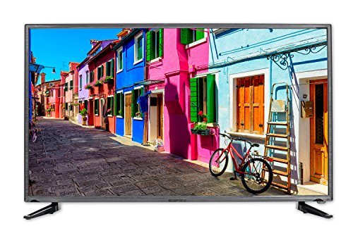 Sceptre 40" Class FHD (1080P) LED TV (X405BV-FSR)