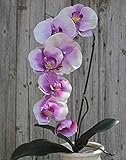 Para usar por ejemplo en macetas de orquídeas o para arreglos florales.