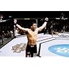 Ufc: Ultimate Knockouts 8