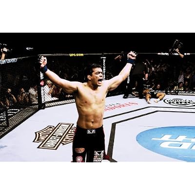 Ufc: Ultimate Knockouts 8