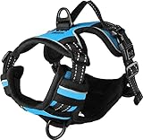 Hundegeschirr - hundegeschirr kleine Hunde - 25–45cm A. Brust / 30–45cm B. Bauch - Flamingo Harness Balou Blau XS
