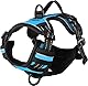 Hundegeschirr - hundegeschirr kleine Hunde - 25–45cm A. Brust / 30–45cm B. Bauch - Flamingo Harness Balou Blau XS