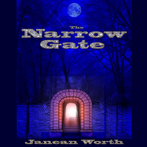 Cover art for The Narrow Gate