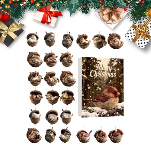 Aj} y_g JEg_E J_[,AN tbg ėp\ - JEg_E J_[ hO Aj} I[ig,FlEqEƑEc[EEǁEhAE}gp