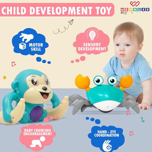 Image of Wembley Rolling Musical Monkey and Crawling Crab Toy Combo | Rechargeable Sensory Tummy Time Toys | Gift for Kids and Toddlers