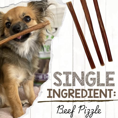 Image of Nature Gnaws Super Skinny Bully Sticks for Small Dogs 5-6 inch (15 Count) - Long Lasting for Light Chewers and Puppies - Extra Thin Natural Beef Dog Chew Treats