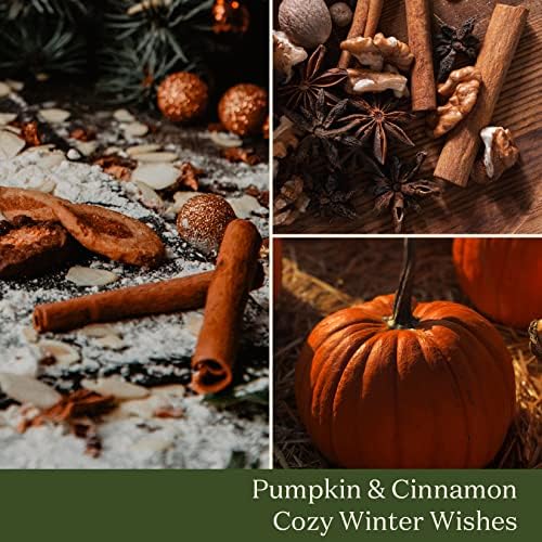 LA Jolie Muse Cinnamon Pumpkin Scented Candle, Natural Soy Candle for Home, 35-45 Hours Long Burning, Tin, 6.5Oz/185g