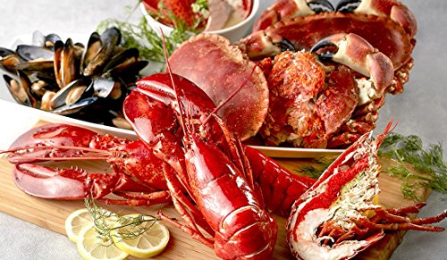 Gmark 25 Pack Disposable Plastic Lobster Bibs - Keep Clothing Clean - Great for Restaurants, Seafood or Crawfish Parties GM1066