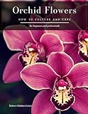 Orchid Flowers: How to Culture and Care