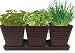 Grow 5 Herbs with Burpee's Herb Garden Starter Kit - Parsley, Cilantro, Chives, Basil and Oregano. Complete Kit with Everything Needed to Grow Culinary Plants indoors. (brown)