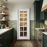 COSHOMER Pantry Door 28 x 80 Inch, French Interior Door Slab with 10-Lite Clear Glass, Solid Core Pre-Assembled White Primed Panel for Bathroom Laundry Closet (Hardware Not Included)