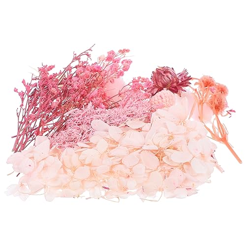 Flores prensadas secas naturales para manualidades miniatura 1