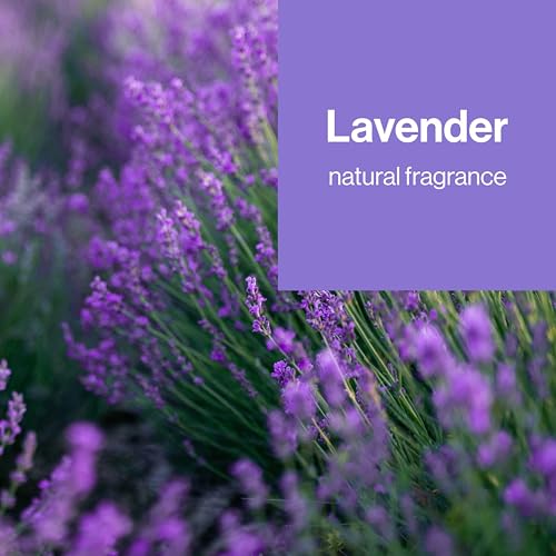 Image of The Honest Company Lavender Sanitizing Alcohol Wipes, Antibacterial with Aloe, Kills 99% of Germs, 15 Count