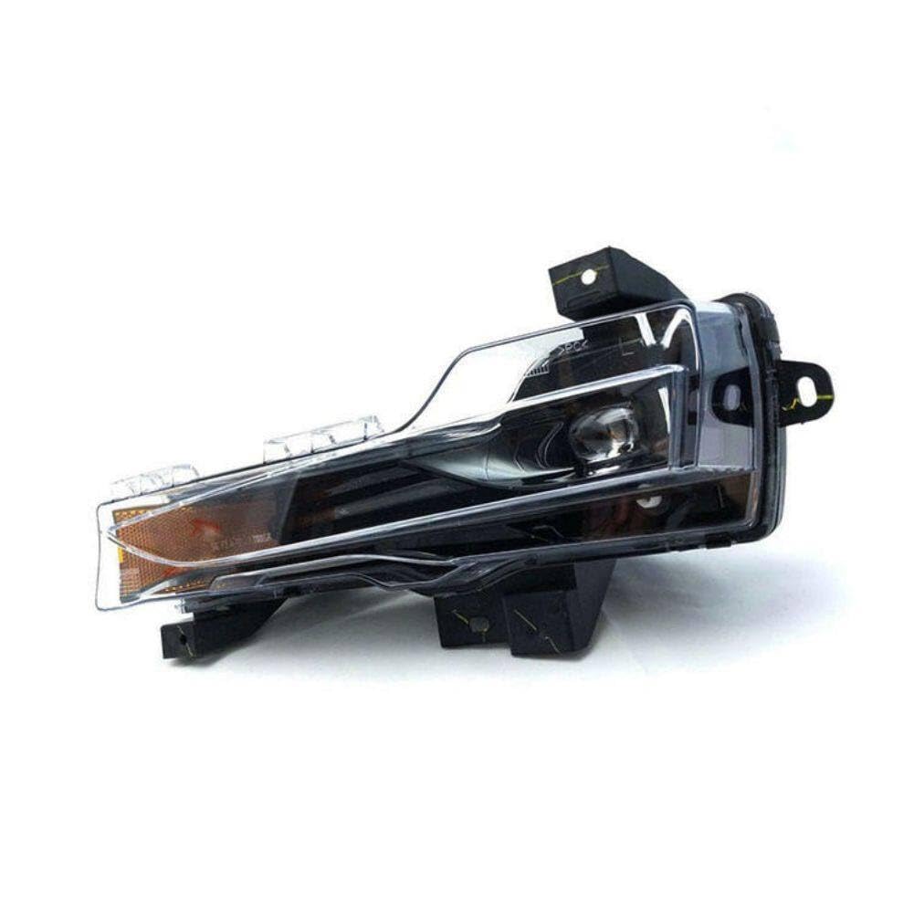 Amazon.com: Front Fog Light L Replace# 107739100F 1077391-00-F 