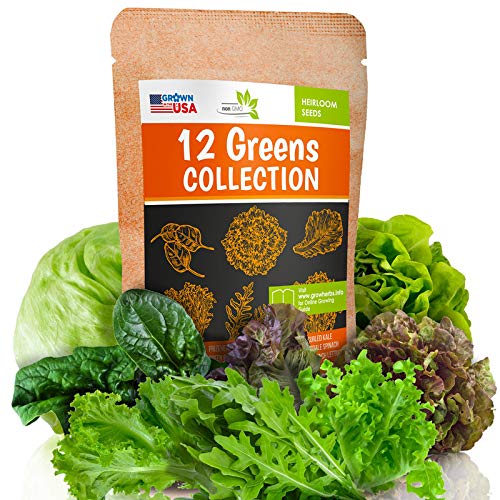 12 Lettuce and Greens Seed Pack - Heirloom and Non GMO, Grown in USA - Indoor or Outdoor Garden - Iceberg, Arugula, Kale, Spinach, Bibb, Butter, Green Oakleaf, Giant Collard, Red Romaine & More