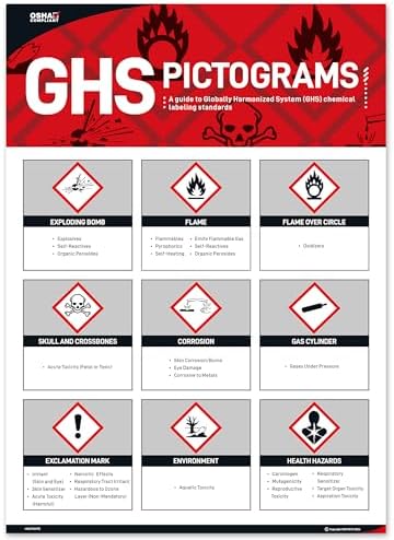 Poster Primo Soccorso Laminato - 59x42 Cm, Guida Per Emergenze Sul Lavoro - Foto 7