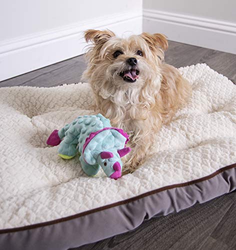 Godog Dinos Frills Squeaker Plush Pet Toy For Dogs & Puppies, Soft & Durable, Tough & Chew Resistant, Reinforced Seams - Teal, Small #TOP6