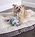 goDog Dinos Frills Squeaky Plush Dog Toy, Chew Guard Technology - Teal, Small