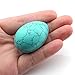 Jovivi 50mm Howlite Turquoise Egg-Shaped Gemstone Carved Crystal Egg Statue Figurine on Wood Stand Crystal Home Office Desk Decor, with Gift Box