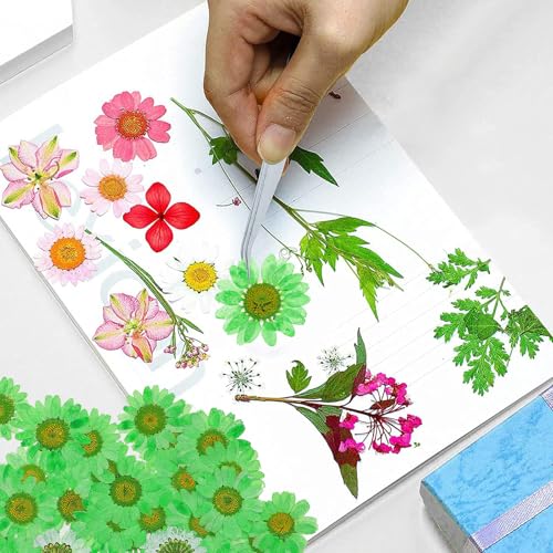 Flores naturales secas prensadas para manualidades 60 piezas miniatura 4