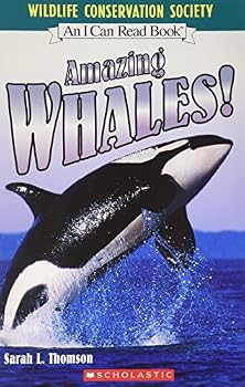Paperback AMAZING WHALES Book