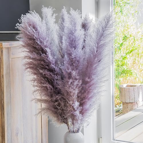 Leisure Life® | 8X Pampasgras groß 113cm | natürliche lila XXL...