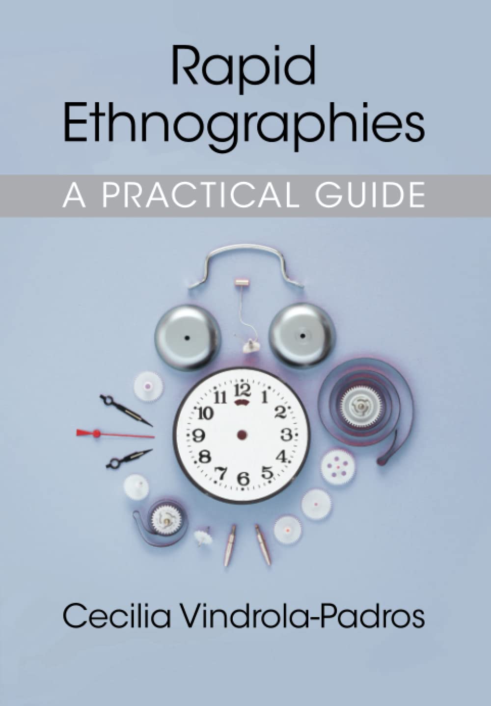 Rapid Ethnographies: A Practical Guide
