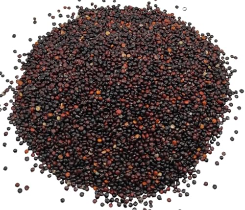 Getrocknete Schwarze Quinoasamen 85g - 1,95kg Chenopodium Quinoa (460 gramm)