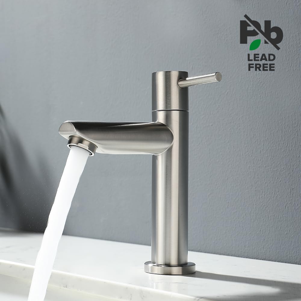 Decaura Grifo de agua fría para invitados, grifo de baño solo agua fría, monomando, grifo de lavabo, acero inoxidable cepillado