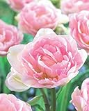 Blumenhandel Ullrich