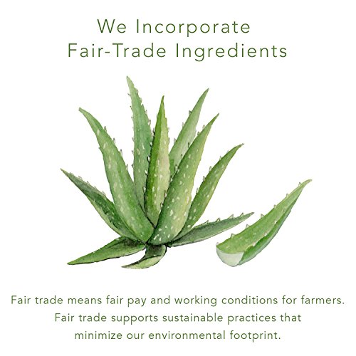 Emerginc Scientific Organics Biodegradable Facial Cleansing Wipes - Makeup Remover Wipes With Nourishing Aloe, Witch Hazel + Fruit Extracts (Pack Of 30) #TOP4