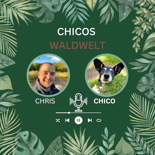 Chicos Waldwelt cover art