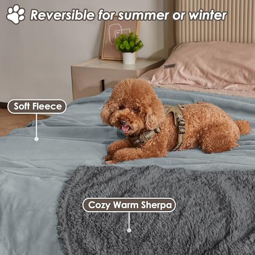 Pawsee Wasserdicht Hundedecke Katzendecken Waschbar, wasserdichte Decke für Unterwegs Hundesofa Schutzdecke Sofa Überwurf, Flauschig Hundedecke für Miniaturhunde Kleine Hunde Katzen,XS 75 x 60cm