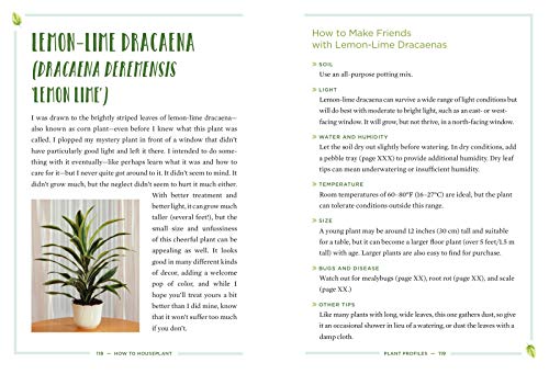 How to Houseplant: A Beginner's Guide to Making and Keeping Plant Friends - Image 6