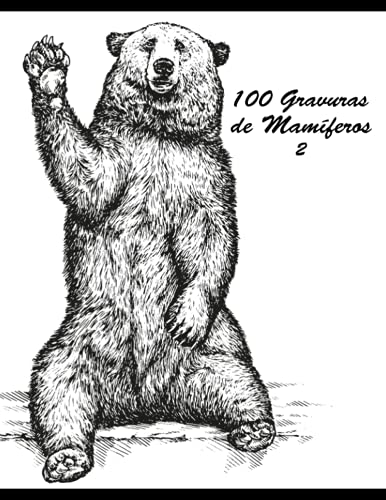 100 Gravuras de Mamíferos 2 (Portuguese Edition)