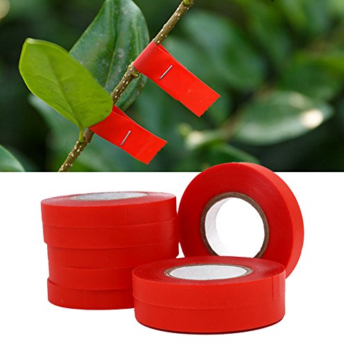 CAXUSD Lot de 10 rouleaux de ruban de jardinage réglable en PVC pour fleurs et plantes