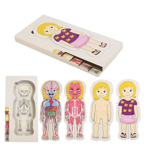 Partager des moments de complicité avec le puzzle en bois anatomie