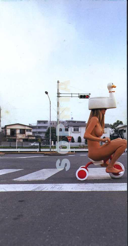 Amazon.co.jp: ☆8cmCD☆SOPHIA ゴキゲン鳥 ～crawler is crazy