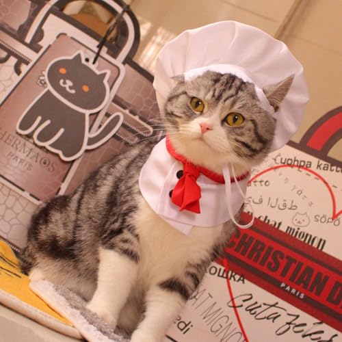Disfraz de Chef para Perro, Set Sombrero y Collar miniatura 4